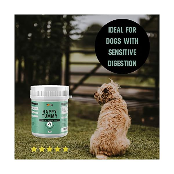 buddy and lola happy tummy