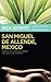 San Miguel de Allende, Mexico Memoir of A Sensual Quest For Spiritual Healing by Rick Skwiot