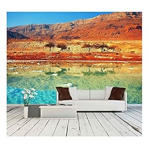 Dead Sea Salt Shore - Removable Wall Mural | Self-Adhesive Large Wallpaper - 66x96 inches