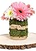 SuperMoss (22401) Instantgreen Moss Mat, Peel N Stick, 18 x 48in, Fresh green