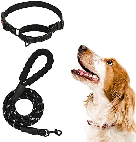 metal clasp dog harness