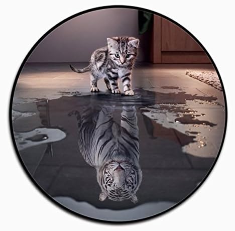 Phone Holer,Expanding Sockets and Mounts for Iphones,Smartphones and Tablets(cat&amp;tiger)