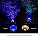 7Pandas LED Blue Light Par38 Flood Light Bulbs, 1200 Lumen for Porch True Color Full Glass Outdoor Waterproof LED Lights, E26 Base 90W Halogen Equivalent Halloween, Christmas, Holiday Lighting, 4-Pack