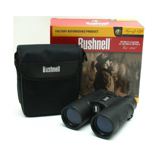 Bushnell - Allzweck - 10x42 - Schwarz - Dachkantprisma - Fernglas - Vogelbeobachtung - Sightseeing - Reisen - Wildtiere… – Bild 4