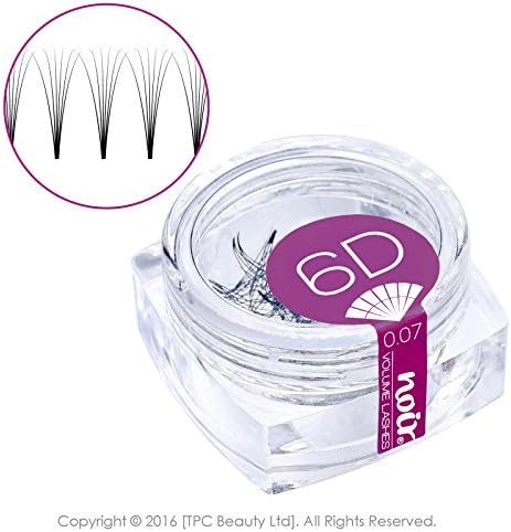 Noir Volume Lashes 6D Pre made Fan Lashes Jar C Curl 0.07 Premade Russian Volume Eyelash Extensions (C 14mm)