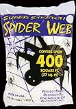 Spooky Spider Web (400 Square Feet)