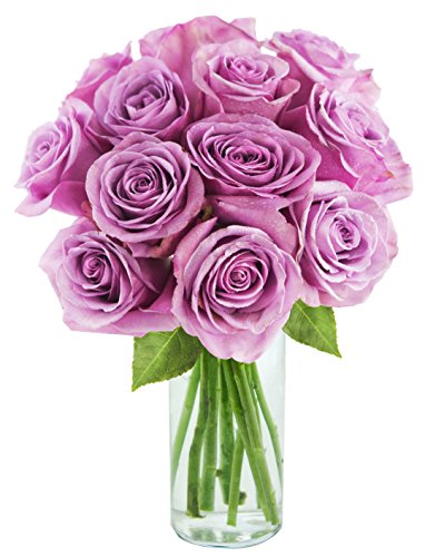 Lavender Roses: 12 Purple Roses with Vase - by KaBloom