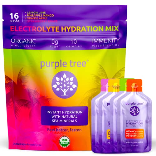Organic Electrolyte Hydration Packets by Purple Tree, Sugar Free, All