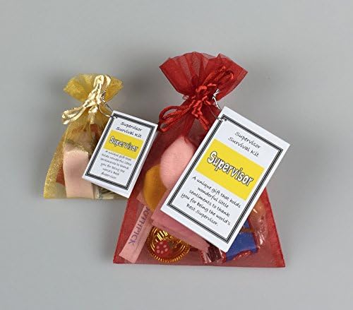 Supervisor Survival Kit Novelty Keepsake Gift with Personalised Option (Mini Survival Kit (Non-Personalised))