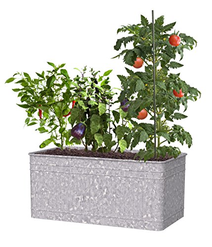 Panacea 83475 Vintage Rectangle Raised Garden Bed Planter