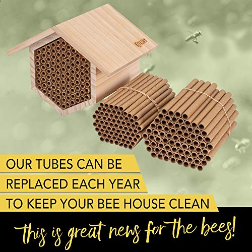 Rivajam Mason Bee House Refillable Nesting Box New 2020 Design