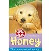 Animal Rescue Collection, 6 Books, RRP Β£29.94 (Merlin the Homeless Foal, Bella the Runaway Rabbit, Dilly the Lost Duckling, Charlie the Home alone Kitten, Rusty the Injured Fix Cub, Honey The Unwanted Puppy)