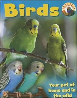 pet supplies plus parakeets