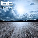 Skylarking (Radio Edit)