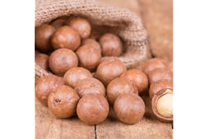 SANMAC FARMS Macadamia Nuts - In shell (whole) Medium size (1 LB)