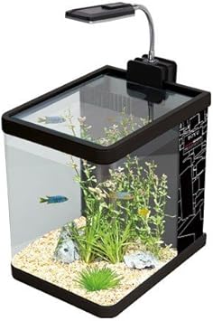 Me 175 Nano Aquarium Fish Tank 12 Litres Tropical Coldwater Fish Black Amazon De Pet Supplies
