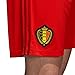 Major Sports Belgium Hazard #10 Soccer Jersey Kids Youth Sizes Football World Cup Premium Gift Set ✓ BONUS Soccer Ball Drawstring Backpack (YM 8-10 Years, Hazard #10)