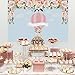 Allenjoy 7x5ft Hot Air Balloon Backdrop Up Up & Away Background Pink Baby Shower It's a Girl Newborn Floral Birthday Party Supply Dessert Candy Cake Table Decor Decoration Banner Photo Shoot Booth
