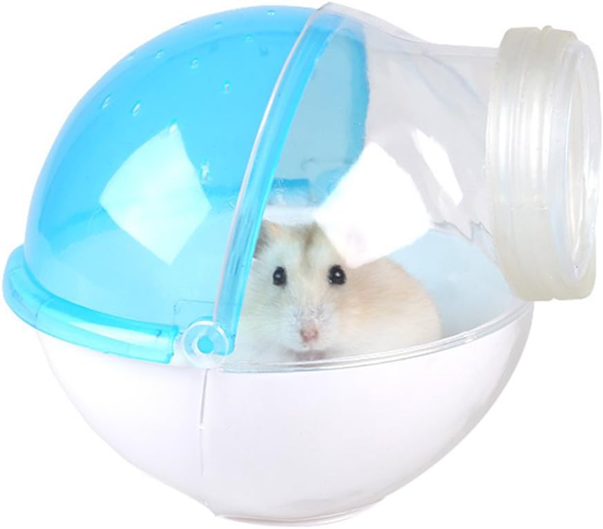 pet chinchilla price