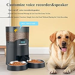 Cat Feeder, HoneyGuaridan 6.5L Automatic Pet Feeder