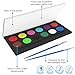 Face Painting Kit- Safe Non Toxic 12 Vibrant Color Palette . Professional Quality Face & Body Paint Kits with 2 brushes and Bonus E-book. Ideal birthday present.!