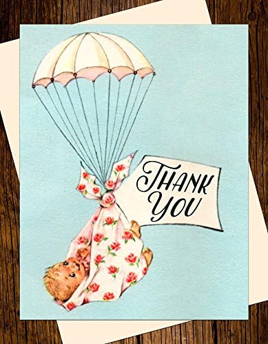 Special Delivery Stork Baby Shower Thank You Note Cards Custom Printed Vintage Pink Blue