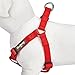 Blueberry Pet Essentials Step-in Dog Harness, Small Size | Adjustable Rouge Red Vest | Classic Solid Nylon for Boy & Girl Dogs, Chest Girth 16.5