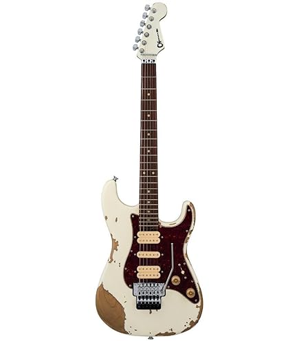 Amazon.com: Charvel Satchel Signature Pro-Mod DK22 HH FR M