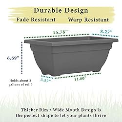 BackyardBounty Rectangle Planter Box, 16 Inch