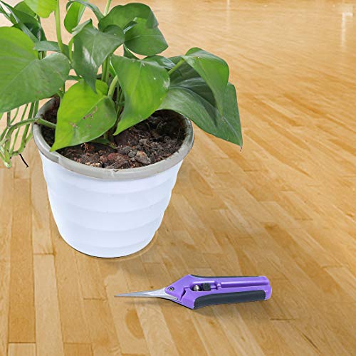 Terme Two Packs of Gardening Hand Pruner Pruning Shear with Straight Stainless Steel Blades