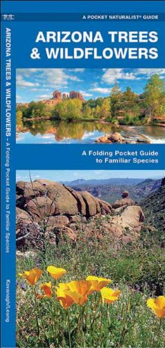 Arizona Trees & Wildflowers: A Folding Pocket Guide to Familiar Species (Pocket Naturalist Guide Series)
