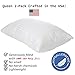 Deluxe Queen Pillows 2 Pack - Hypoallergenic, Plush Down Alternative Bed Pillow - Super Soft Poly Fiber with 100% Cotton Dobby Cover - Proudly Crafted in USA - (Premium Value Pack)