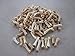 20 COYOTE TOE/FOOT BONES METATARSALS TAXIDERMY CRAFTS JEWELRY BEADS TEETH SKULL