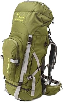 Amazon Co Jp アコンカグア 大型リュックサック Patagonia パタゴニア 75l 緑 スポーツ アウトドア