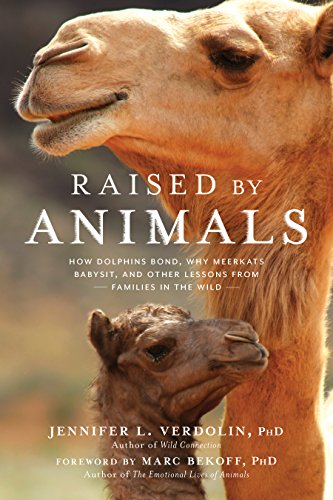 Raised by Animals: How Dolphins Bond, Why Meerkats Babysit, and Other Lessons from Families in the Wild