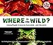 Where in the Wild?: Camouflaged Creatures Concealed... and Revealed