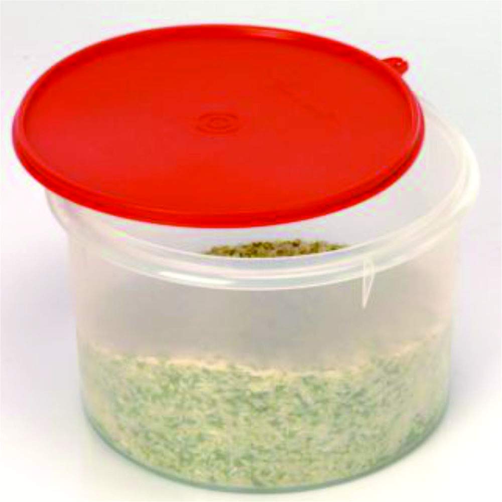 Photo 1 of **missing lid** Tupperware Medium Super Storer, 3 Litres (111)