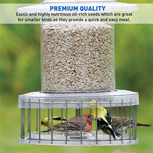 EasyGo Product Sunflower Kernels – Sun Flower Chips Wild Bird Food – 50 lb