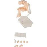PVC Action Figure Body Kun, 6 Inch Flexible Drawing Mannequin Poseable Mannequin with Stand for Drawing Sketching Artist Manikin Decoration Collection