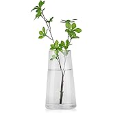 WHJY 9 inch Clear Glass Vase for Table Centerpieces Home Décor, Flower vase Modern Glass Bottles Decorative-White