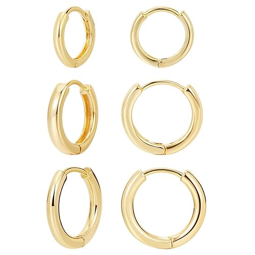 pairs 14K Gold Plated Huggie Hoop Earrings, Minimalist Gold, Simple  sizes Earrings for Women Men gift in Oman Whizz Hoop