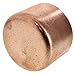 Procuru 3/4-Inch Nominal Copper Cap, Professional Series, NSF Lead Free Certified (10-Pack)