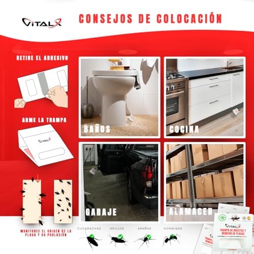 ® Pack 30 TRAMPAS CUCARACHAS + Manual | Trampa ULTRADHESIVA Cucarachas | Anti Cucarachas | Trampas Insectos | Trampas Ratones | Trampa Insectos Profesional | TRAMPAS CUCARACHAS