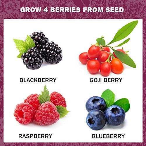 1 Natures+Blossom+Fruit+Growing+Beginners