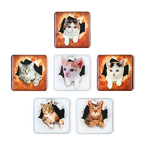 SUPCOOKI 6pcs Beautiful Glass Refrigerator Magnets 3D Cat Magnets Fun Funny Fridge Stickers Cute Home Decoration Funny for Office Cabinets Whiteboards Decorative Photo Abstract