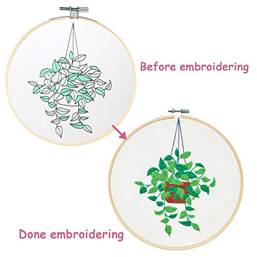 Unime Full Range of Embroidery Starter Kit with Partten, Cross Stitch Kit Including Embroidery Cloth with Color Pattern, Bamboo Embroidery Hoop, Color Threads, and Tools Kit (Scindapsus)