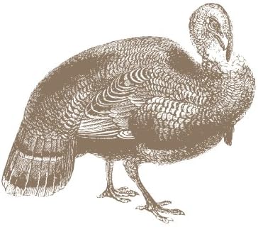 Plat Du Jour Sepia - The Bird Paper Placemats (Pack Of 50)