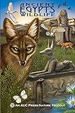 Ancient Egypt's Wildlife: An AUC Press Nature Foldout by 