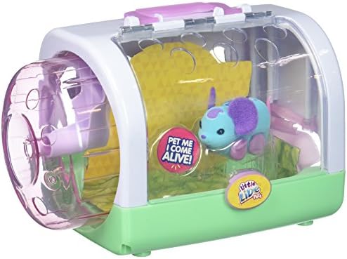 hamster toy little live pets