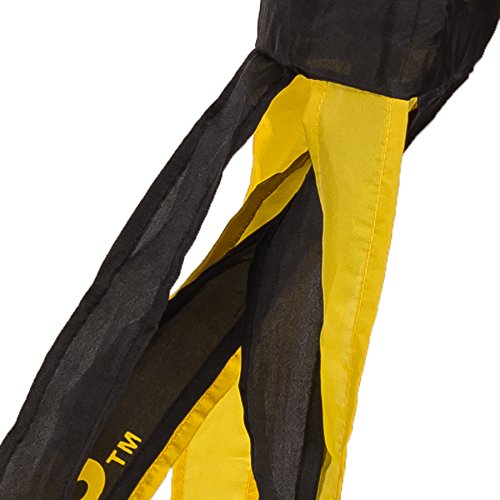 College Flags and Banners Co. Iowa Hawkeyes Windsock - Thumbnail 2